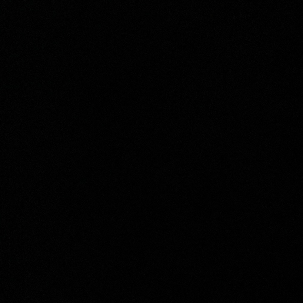 Meet your Posher, Isabella